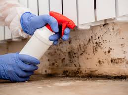 Why You Should Choose Our Mold Remediation Services in Spartanburg, SC